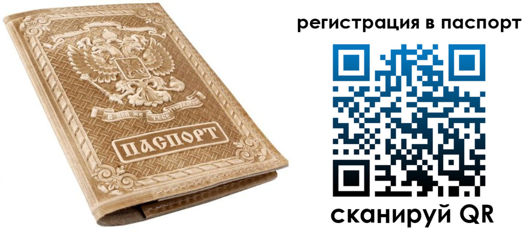 прописка в Медногорске